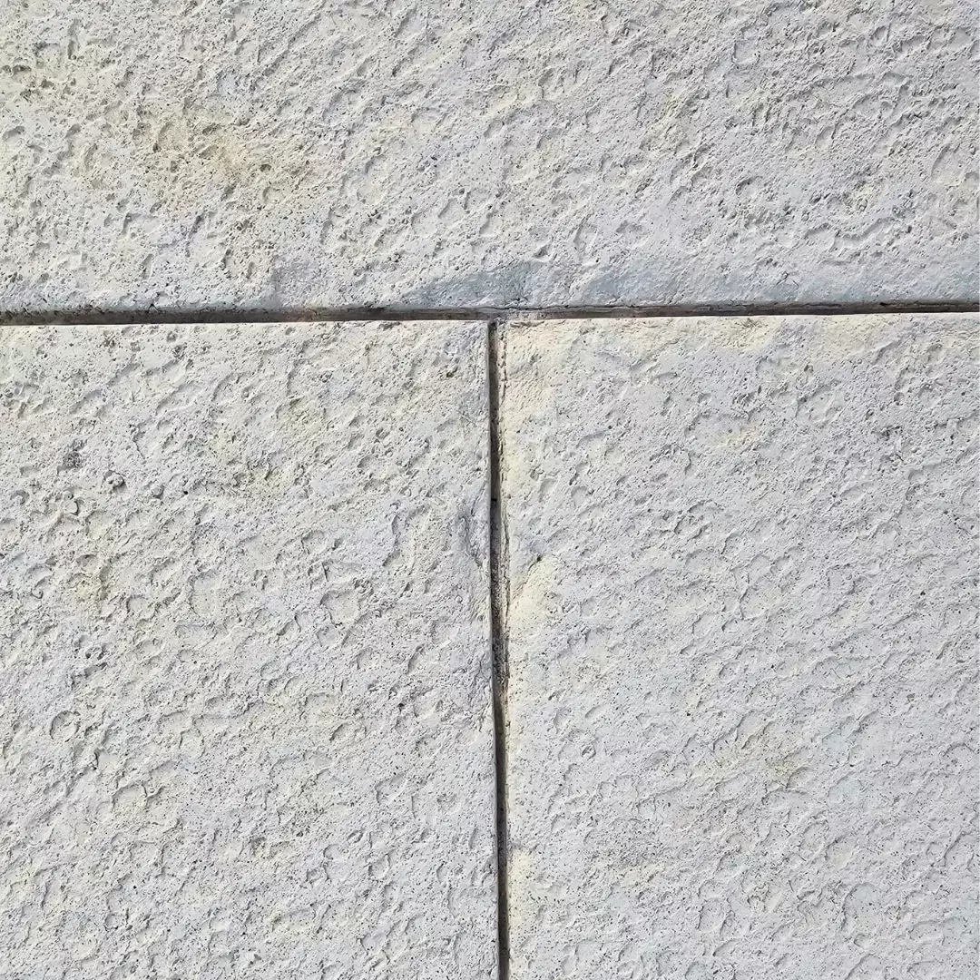 PCRTMM 100 200 E01